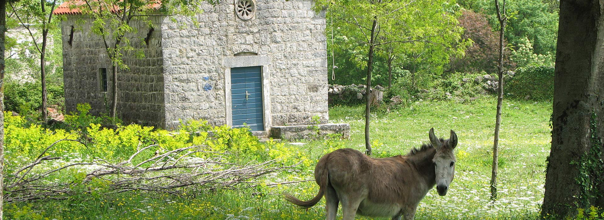Montenegro walking self-guided holiday